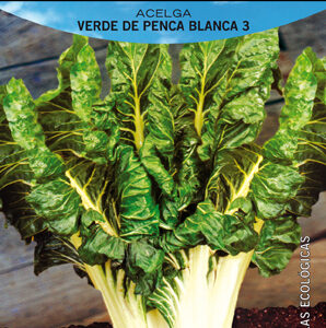 ACELGA VERDE BLANCA 3 PENCOSA 25 GR