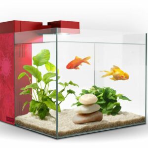 ACUARIO ZENEO 30 JUNGLE