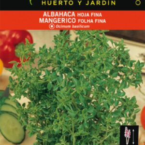 ALBAHACA HOJA FINA