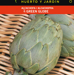 ALCACHOFA GREEN GLOBE