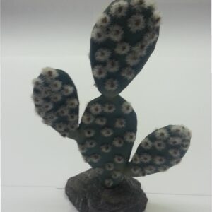 CACTUS SAHARA 19CM.**
