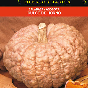 CALABAZA DULCE HORNO BUEN GUSTO