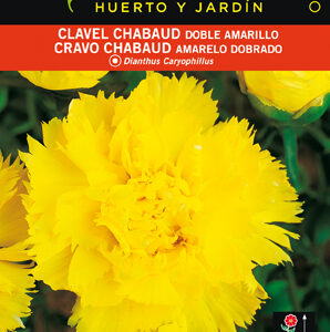 CLAVEL CHABAUD DOBLE AMARILLO SOBRE