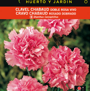 CLAVEL CHABAUD ROSA