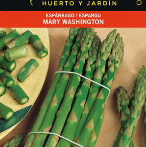 ESPARRAGO VERDE MARY WASHIN.SOBRE