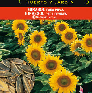 GIRASOL PARA PIPAS. BATLLE