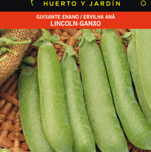 GUISANTE LINCOLN 250 GR.