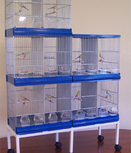 JAULA CRIA MODULAR AMPLIACION LATERAL