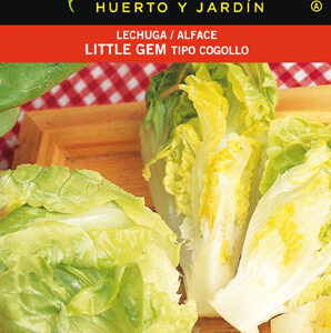 LECHUGA LITTLE GEM COGOLLO