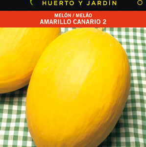 MELON AMARILLO CANARIO