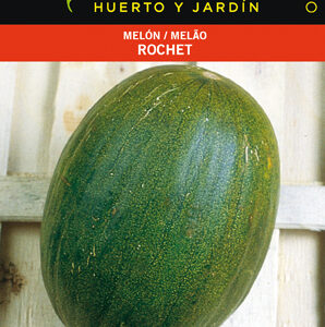 MELON ROCHET SEL.PRIMOR