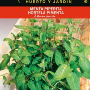 MENTA PIPERITA (INFUSIONES)  SOBRE