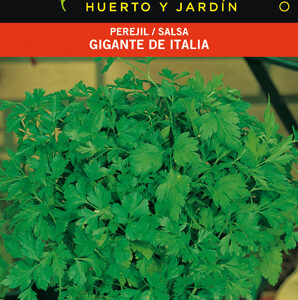 PEREJIL GIGANTE ITALIA SOBRE
