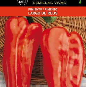 PIMIENTO LARGO DE REUS