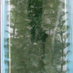 PLANTA CABOMBA PLUS (28-33CM) L ***