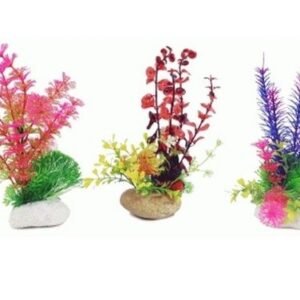 PLANTA ROCK 20 cm.