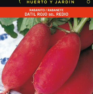 RABANITO DATIL ROJO SEL.REDIO.SOBRE