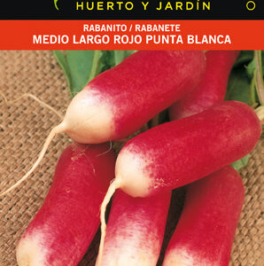 RABANITO MEDIO LARGO ROJO P.BLANCA.SOBRE