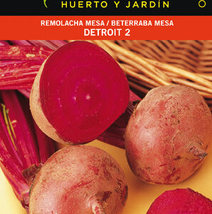 REMOLACHA MESA DETROIT SOBRE