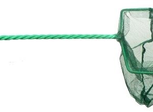 SALABRE VERDE 15 x 12.5 cm.