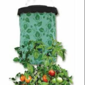 TOMATERA URBANA 40x22cm.